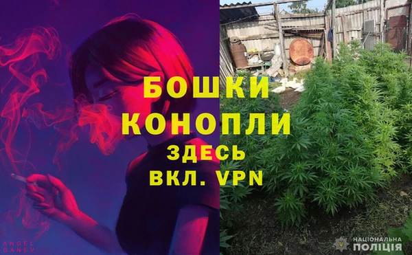 твердый Бронницы