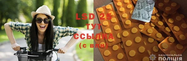 ECSTASY Бородино