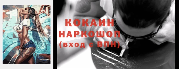 твердый Бронницы