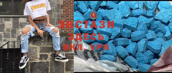 ECSTASY Бородино