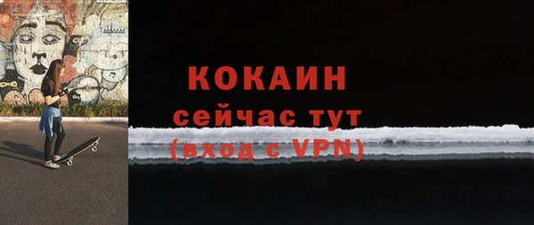 ECSTASY Бородино