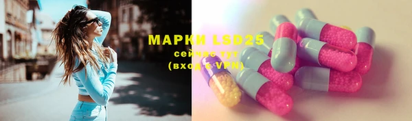 ECSTASY Бородино