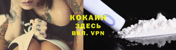ECSTASY Бородино
