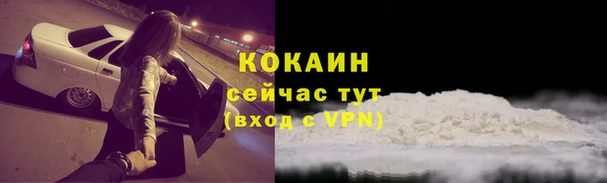 твердый Бронницы