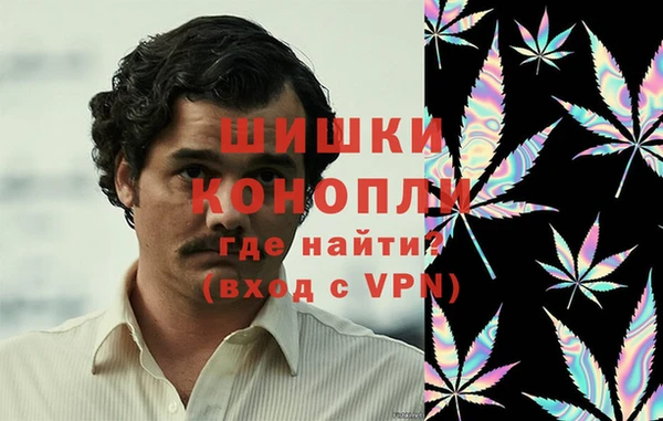 ECSTASY Бородино