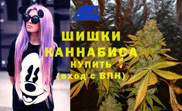 ECSTASY Бородино