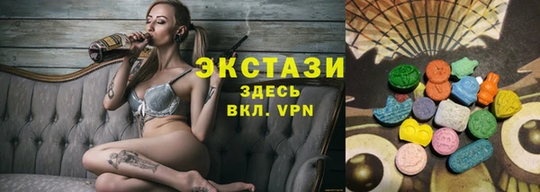 ECSTASY Бородино