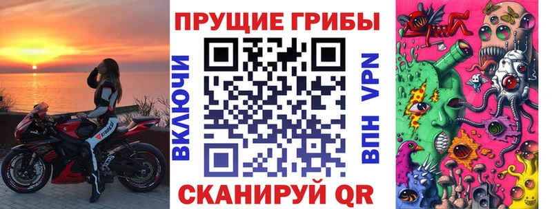Псилоцибиновые грибы Psilocybe  Гороховец 